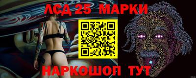 мяу мяу мука Нарткала