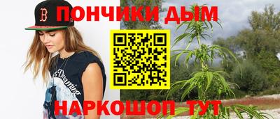 прущие грибы Нальчик