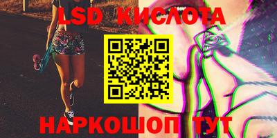 прущие грибы Нальчик