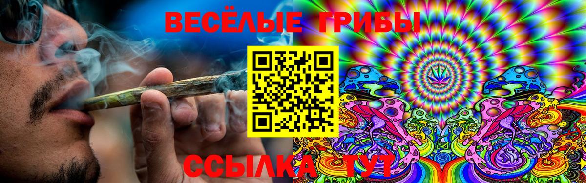 Псилоцибиновые грибы Psilocybe  Вход с VPN  Симферополь 